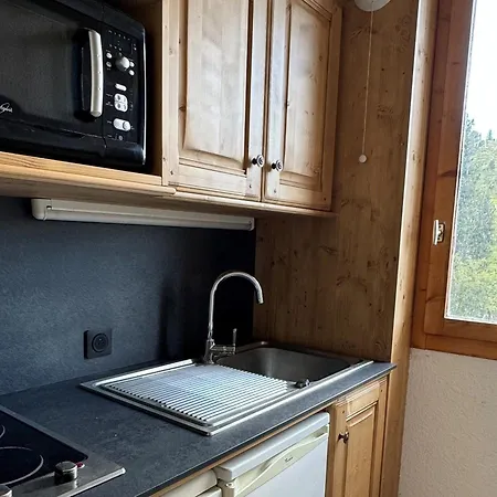 Fonctionnel 3/4 Pers · Pied Des Pistes · Balcon · Animaux Admis - Fr-1-181-2273 La Plagne-Tarentaise